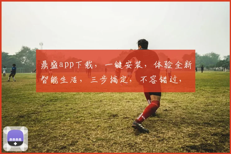 鼎盛app下载，一键安装，体验全新智能生活，三步搞定，不容错过，快来下载